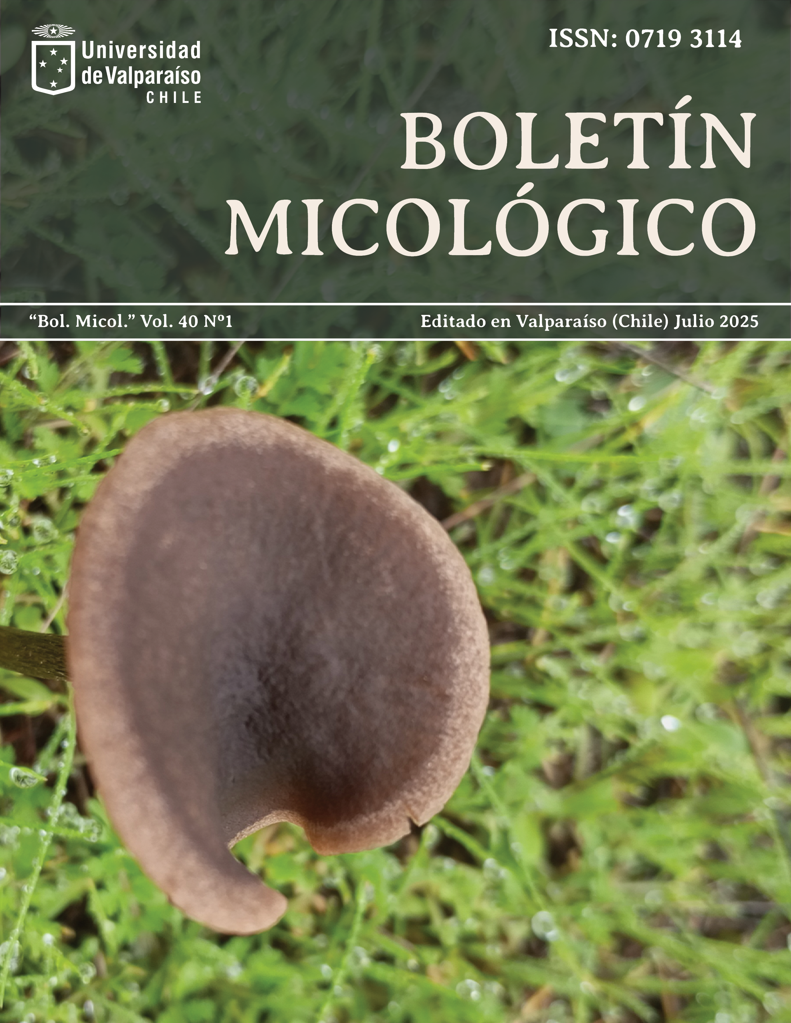 					View Vol. 40 No. 1 (2025)
				